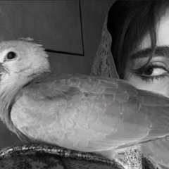 حـنـيـن سـوادي