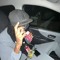 26bizz