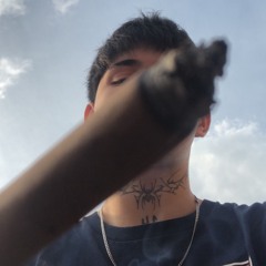 arashitt (@pintaelpoint)