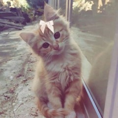 Kajkaa🎀