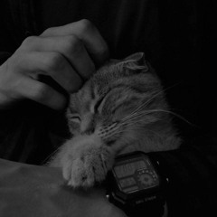 Сергей Кольцов