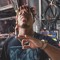 JUICETHEKIDD