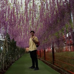 hiếu