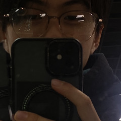Rinkuless
