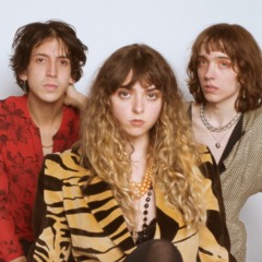 The Velveteers