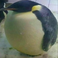 vvenbrr_ondatbeat ᯓ★