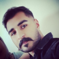 ali,ahmadi