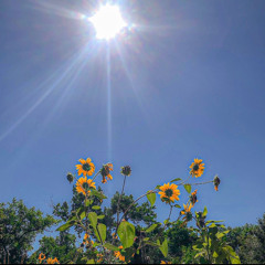 sc