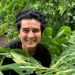 Julio Antonio