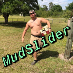 MudSlider