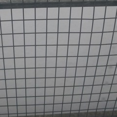 frozenmountain🏔️