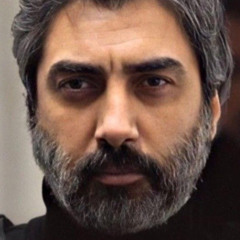 polat-313