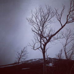 music from the drone loft