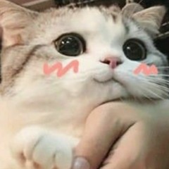 Zuzu