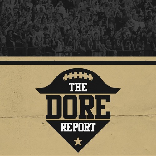 The Dore Report’s avatar