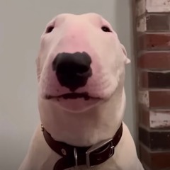 Walter