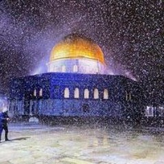 Eman Mekhemer