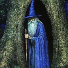 ElderMysticalWizard