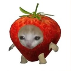 Itz_Chicken_NuggetZ