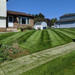 Colin Notarfrancesco