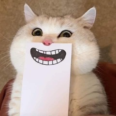 Ân