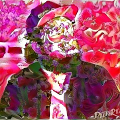 The group who couldnt say (grandaddy cover)