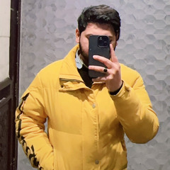 Hamza malik