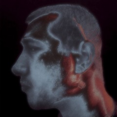 TheAdult