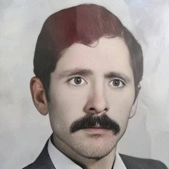 Amir doustanian