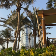 MSA