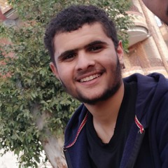 محمد الديب
