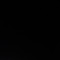 L1N7S-