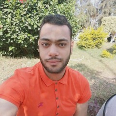 Mohamed Wael
