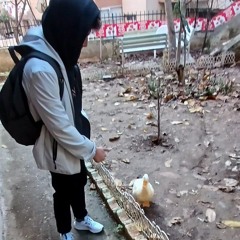 Enes