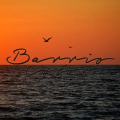 BarrioColor