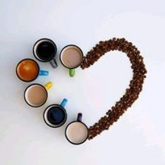 Zein Mohamed