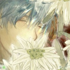allen