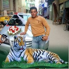 احمد ابو لين
