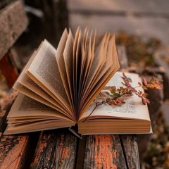 Hend Muhmed Elkhateeb