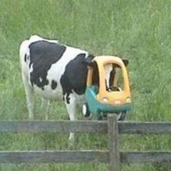 dienthoaichaipincon78%chuathay