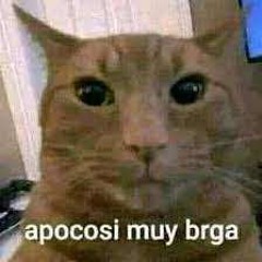 notwitcher