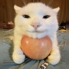 шакалёнок