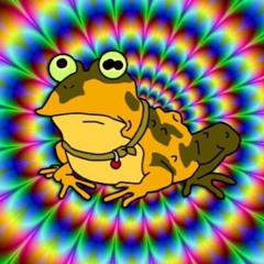 funkyTfrosch