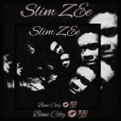 Slim ZEe