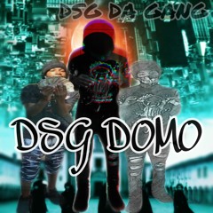 DSG DOMO