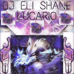 DJ ELI SHANE