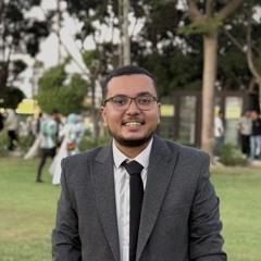 Ahmed S.AbouZahra