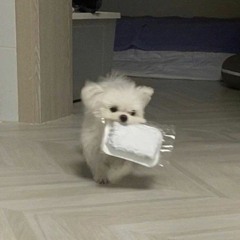 시응