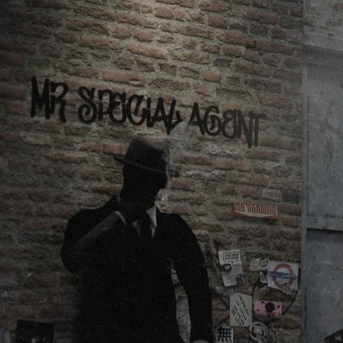 Mr Special Agent’s avatar