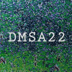 DMSA 22